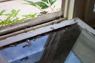 So sehen die zu renovierenden Fenster von au&szlig;en aus.