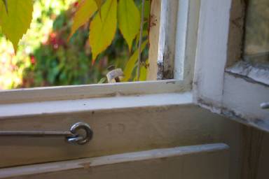 So sehen die zu renovierenden Fenster aus.